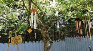 It’s A Child’s World