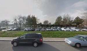 Martone Child Development